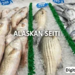 alaskan seiti