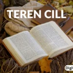 teren cill