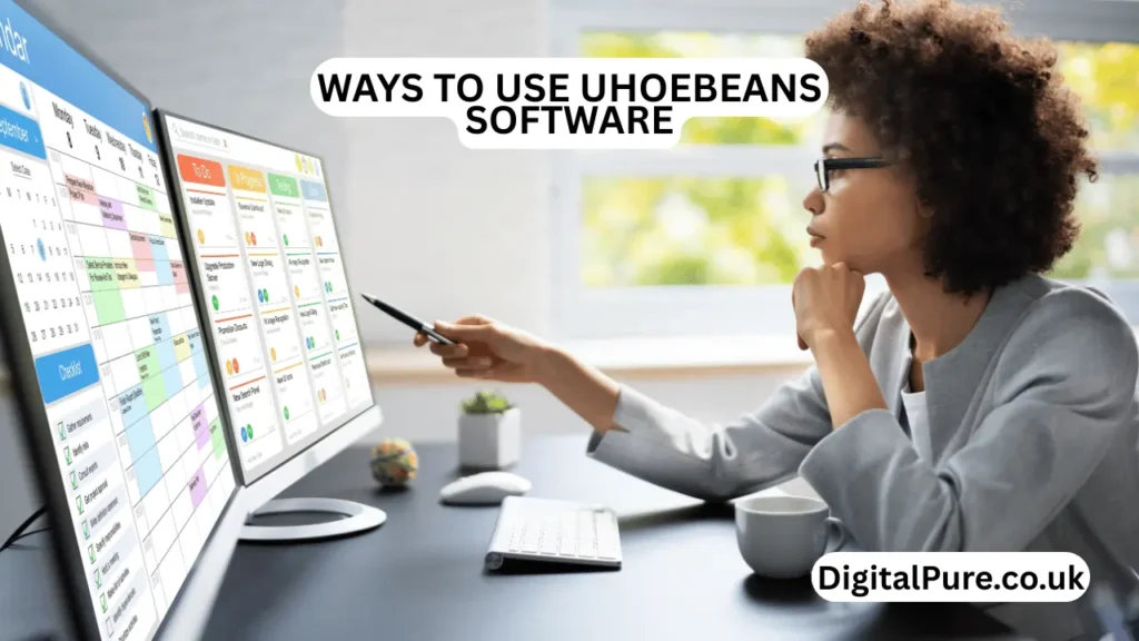 ways to use uhoebeans software