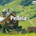 pellela